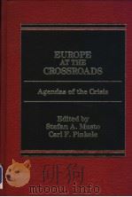 EUROPE AT THE CROSSROADS PDF电子版封面 0030027276 STEFAN A.MUSTO CARL F.PINKELE