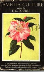 CAMELLIA CULTURE（ PDF版）