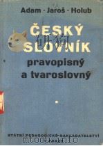 CESKY SLOVNIK PRAVOPISNY A TVAROSLOVNY（ PDF版）