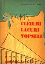 CLEIURI LACURI SI VOPSELE PENTRU INDUSTRIA LEMNULUI PDF电子版封面