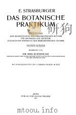 DAS BOTAVISCHE PRAKTIKUM PDF电子版封面