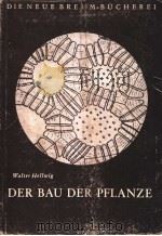 DER BAU DER PFLANZE PDF电子版封面
