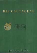 DIE CACTACEAE HANDBUCH DER KAKTEENKUNDE BAND Ⅱ（ PDF版）