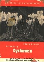 DIE GATTUNG CYCLAMEN PDF电子版封面