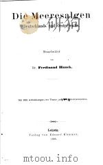 DIE MEERESALGEN PDF电子版封面