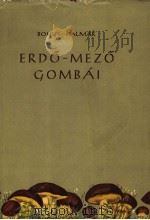 ERDO-MEZO GOMBAI PDF电子版封面