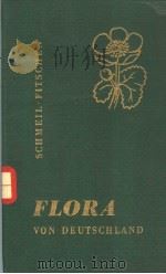 FLORA VON DEUTSCHLAND（ PDF版）