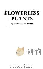 FLOWERLESS PLANTS PDF电子版封面 D·H·SCOTT