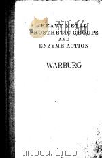 HEAVY METAL PROSTHETIC GROUPS AND ENZYME ACTION（ PDF版）