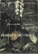 HEIMISCHE ORCHIDEEN PDF电子版封面