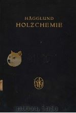 HOLZCHEMIE PDF电子版封面
