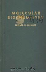 MOLECULAR BIOCHEMISTRY PDF电子版封面 EDWARD M.KOSOWER