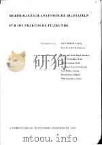 MORPHOLOGISCH-ANATOMISCHE BILDTAFELN FUR DIE PRAKTISCHE PILZKUNDE 1.LIEFERUNG BLATT1-16 PDF电子版封面