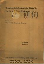 MORPHOLOGISCH-ANATOMISCHE BILDTAFELN FUR DIE PRAKTISCHE PILZKUNDE 4.LIEFERUNG BLATT49-64 PDF电子版封面