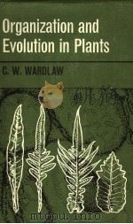 ORGANIZATION AND EVOLUTION IN PLANTS PDF电子版封面 C·W·WARDLAW