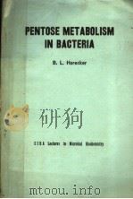 PENTOSE METABOLISM IN BACTERIA PDF电子版封面 B·L·HORECKER
