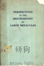 PERSPECTIVES IN THE BIOCHEMISTRY OF LARGE MOLECULES PDF电子版封面 MICHAEL HEIDELBERGER KAI O.PE