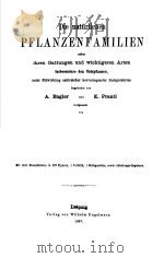PFLANZENF AMILIEN Ⅳ.TEIL ABTEILUNG 4 UND 5 PDF电子版封面 A.ENGLER