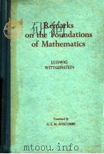 REMARKS ON THE FOUNDATIONS OF MATHEMATICS PDF电子版封面