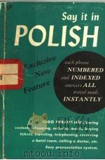 SAY IT IN POLISH VICTOR RAYSMAN PDF电子版封面