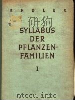 SYLLABUS DER PFLANZENFAMILIEN（ PDF版）