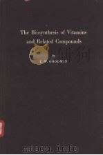 THE BIOSYNTHESIS OF VITAMINS AND RELATED COMPOUNDS PDF电子版封面 T.W.GOODWIN