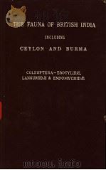 THE FAUNA OF BRITISH INDIA INCLUDING CEYLON AND BURMA COLEOPTERA EROTYLIDE LANGURIIDE & ENDOMYCHIDE PDF电子版封面 G·J·ARROW