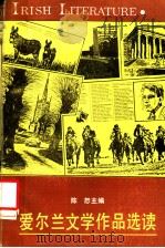 SELECTED READINGS IN IRISH LITERATURE（1989 PDF版）