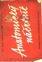 ANAFOMICKY NACRTMIK PDF电子版封面