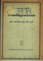 GRUNDIAGENCHEMIE PDF电子版封面