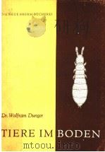 TIERE IM BODEN（ PDF版）