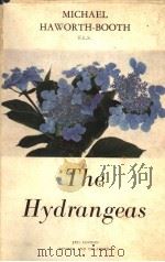 THE HYDRANGEAS     PDF电子版封面     