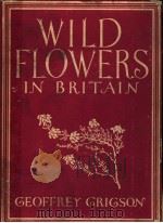 WILD FLOWERS IN BRITAIN PDF电子版封面