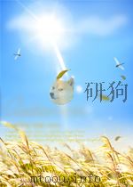 DIE PLANUNG DES NEUZEITLICHEN GROSSHOFES PDF电子版封面 CORDS-PARCHIM
