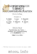 HANDWORTERBUCH DER NATURWISSENSCHAFTEN ZWEITE AUFLAGE ZEHNTER BAND TRANSPLANTATION BEI TIEREN-ZWILLI PDF电子版封面 R.DITTLER G.JOOS E.KORSCHELT