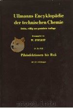 ULLMANNS ENCYKLOPADIE DER TECHNISCHEN CHEMIE 14 BAND PDF电子版封面