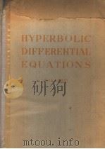 HYPERBOLIC BIFFEREHTIAL EQUATIONS PDF电子版封面 JEAN LERAY