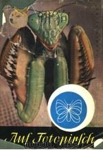 AUF FOTOPIRSCH PDF电子版封面