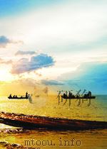 A CONCISE ENCYCLOPEDIA OF WORLD TIMBERS PDF电子版封面 F.H.TITMUSS