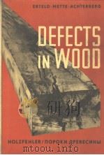 DEFECTS IN WOOD PDF电子版封面