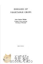 DISEASES OF VEGETABLE CROPS FIRST EDITION PDF电子版封面