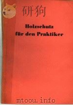 HOLZSCHUTZ FUR DEN PRAKTIKER PDF电子版封面