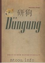 DIE DUNGUNG PDF电子版封面