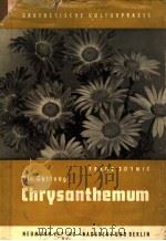 DIE GATTUNG CHRYSANTHEMUM（ PDF版）