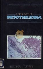 MESOTHELIOMA PDF电子版封面 C·LUND
