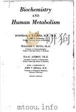 BIOCHEMISTRY AND HUMAN METABOLISM PDF电子版封面 BURNHAM S.WALKER M.D. PH.D.