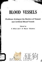 BLOOD VESSELS PROBLEMS ARISING AT THE BORDERS OF NATURAL AND ARTIFICIAL BLOOD VESSELS PDF电子版封面 3540079092 S.EFFERT J.D.MEYER-ERKELENZ