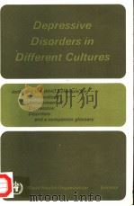 DEPRESSIVE DISORDERS IN DIFERENT CULTURES REPORT ON THE WHO COLLABORATIVE STUDY ON STANDARDIZED ASS 1983 PDF电子版封面 9241560754
