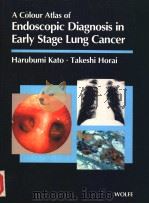 A COLOUR ATLAS OF ENDOSCOPIC DIAGNOSIS IN EARLY STAGE LUNG CANCER PDF电子版封面 0723416877 HARUBUMI KATO M.D. TAKESHI HO