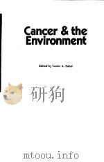 CANCER & THE ENVIRONMENT PDF电子版封面 0333285913 LESTER A.SOBEL
